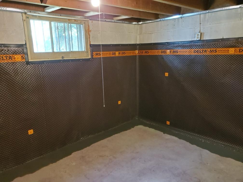 How to Waterproof a Basement: Interior vs Exterior Solutions Compared